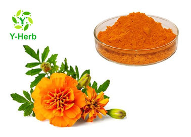 5% 20% 40% Tagetes Erecta Flower Extract Phylloxanthin Lutein And Zeaxanthin Powder