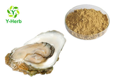 Oyster Protein Peptide Powder  Oyster Meat Shell Extract Food Additives