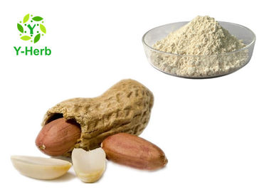 Peanut Protein Peptide Powder Arachis Hypogaea P.E. Water Soluble No Impurities