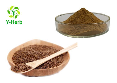 Chinese Dodder Seed Extract Powder Traditional Semen Cuscuta Chinensis  80 Mesh