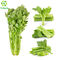 Pharmaceutical Vegetable Extract Powder Juice Concentrate Extract Celery Powder
